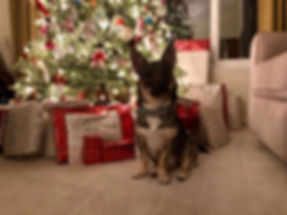 Kirin xmas.jpeg