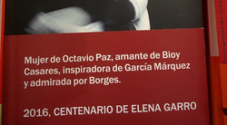 Definición literaria