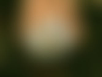 La palabra sostenibilidad