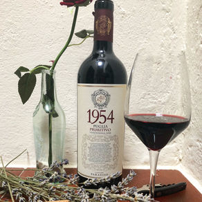 Primitivo IGP Puglia “1954” 2018, Cantine Paradiso