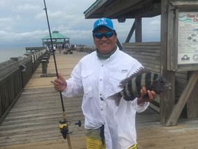 Fantastic fishing on the Folly Beach Pier