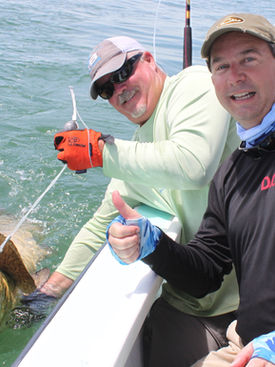 Going for goliath grouper on the Gulf