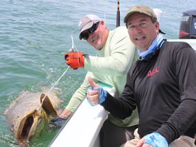 Going for goliath grouper on the Gulf
