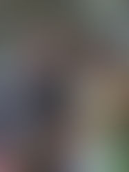 George Washington’s distillery