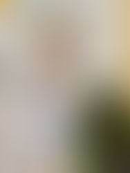 Bygone shops of Church Street: Part Two