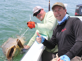 Going for goliath grouper on the Gulf