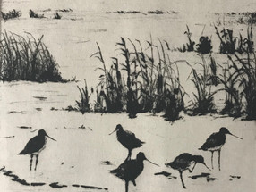 Getting our ducks in a row