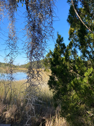 An old island Christmas in the Lowcountry