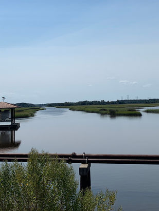 Nature in the neighborhood