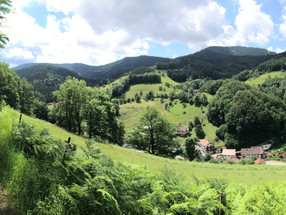 Whisky in the Black Forest