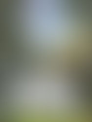 Virginia Bartels entertains and educates with historical context for current-day worship