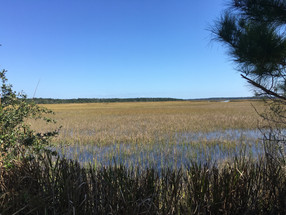 Lowcountry to the limit: Caw Caw Interpretive Center