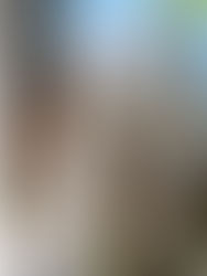 Bennett family wedding tradition continues at Magnolia Gardens