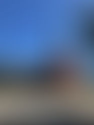 The randomness of preservation