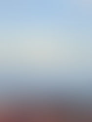 Chemtrails, autism tales, lizard scales on the Prince of Wales