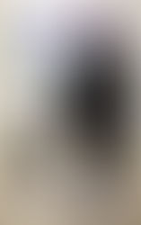 The Birthday Bid Review