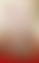 A GINGERBREAD ROMANCE BOOK TOUR