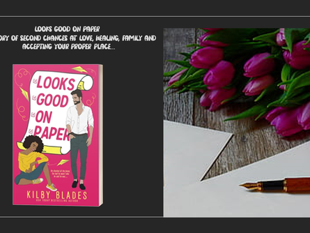 A BOOK BAR REVIEW: LOOKS GOOD ON PAPER by KILBY BLADES