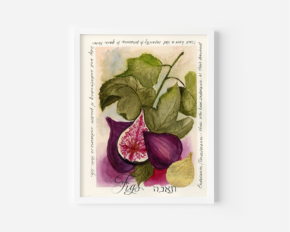 7 Species - Figs - Prints