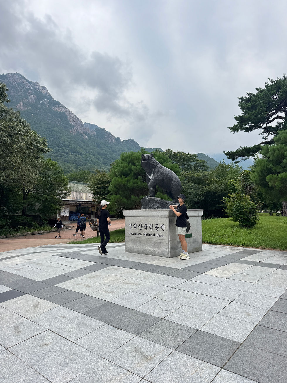 Сораксан с гидом по корее красивые места