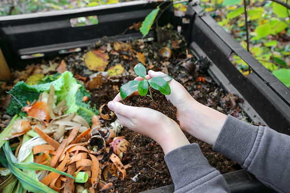 hands holding compost above the composter with organic waste.jpg