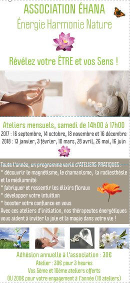 séance découverte magnétisme