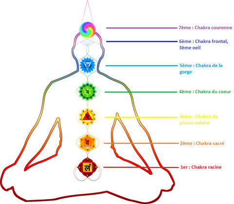 chakra bovis