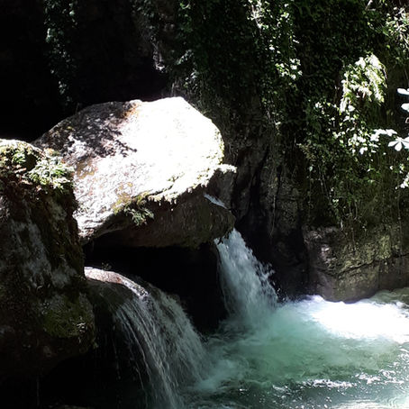 Nouvelle formation online : les esprits de la nature