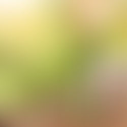 Pourquoi Les Dons Seraient Gratuits ?