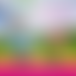 Libérez vos croyances : cap sur vos rêves !