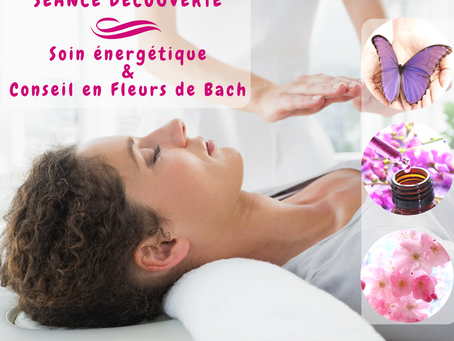 Séance découverte du magnétisme