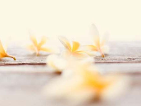 Are You Over Your Grief Yet?