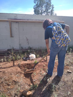 295929499_567604724857885_3828347747099487452_n