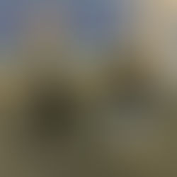 10% off Squash Tiger Spring, Presidents' Day Long Weekend and more...