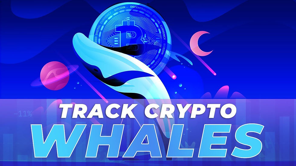Track Crypto Whales 2025