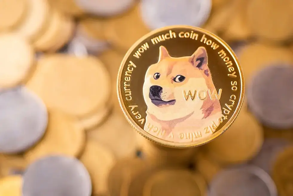 Free Doge 2025