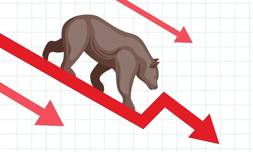 How to build a bear market proof portfolio