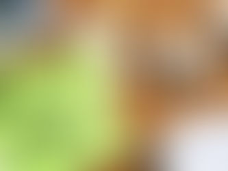 자녀 크레딧 선지급 시작(Advance Child Tax Credit)