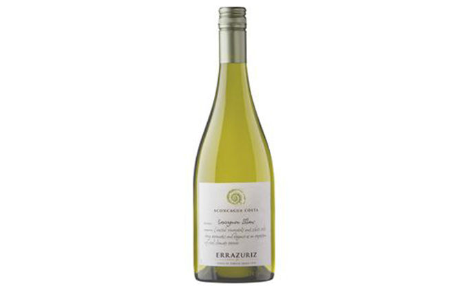 Errázuriz Sauvignon Blanc, Aconcagua Valley