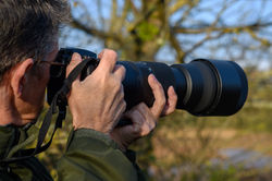 birdwatching Riviera Maya