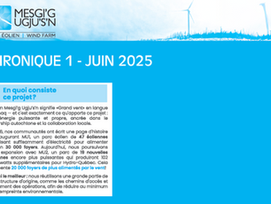 Chronique 1 - Juin 2025