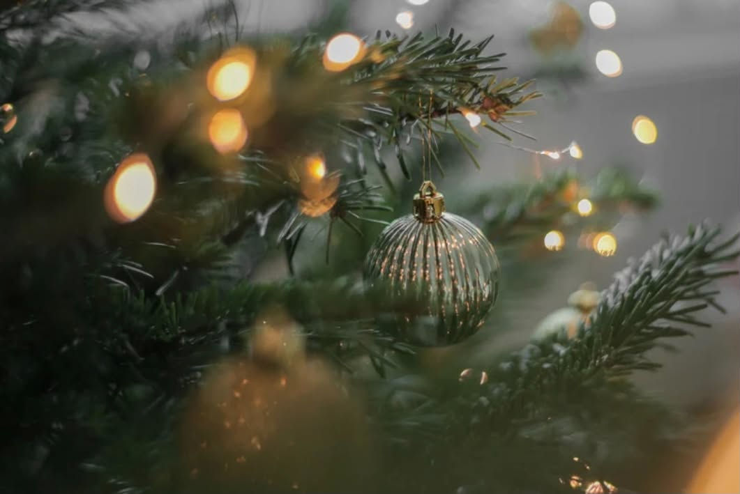Workshop Kerststuk 10/12
