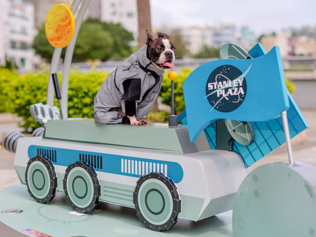 【趣遊香港】赤柱廣場「Paws Galaxy」破天荒打造四大戶外「星系」人寵打卡熱點