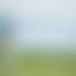 Q School – Final Round 2018