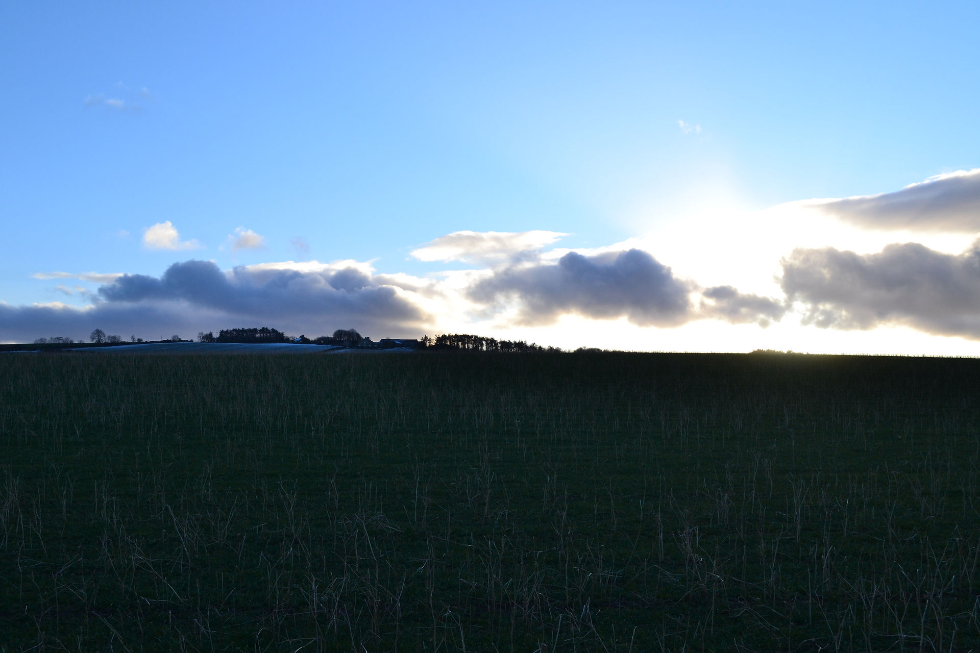 DSC_0015