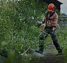 Brushcutters_edited.jpg