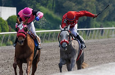 Mizuki1 Clásico Casty.jpg