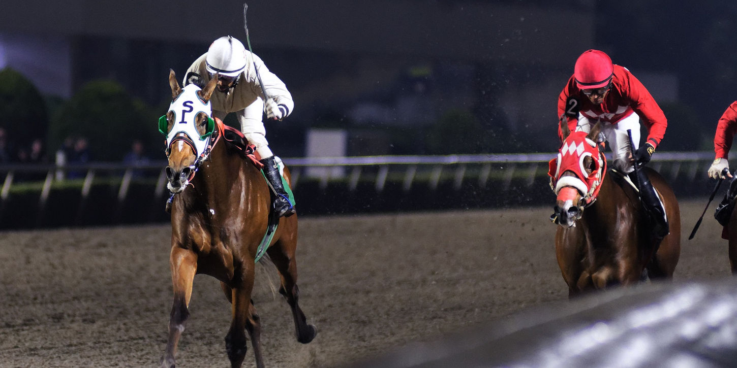 GANADOR: MALDINI
Sábado 4 de octubre 2025
Propietario: Cuadra San Isidro
Entrenador: Jose de J Sanchez Vazquez
Jockey: J. Ortega