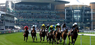 aintree_edited.jpg