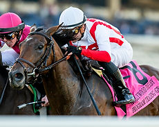 Program-Trading-horse-2023.jpg
